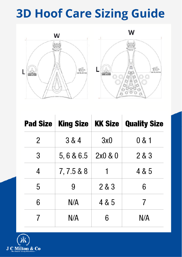 Sizing System - an overview